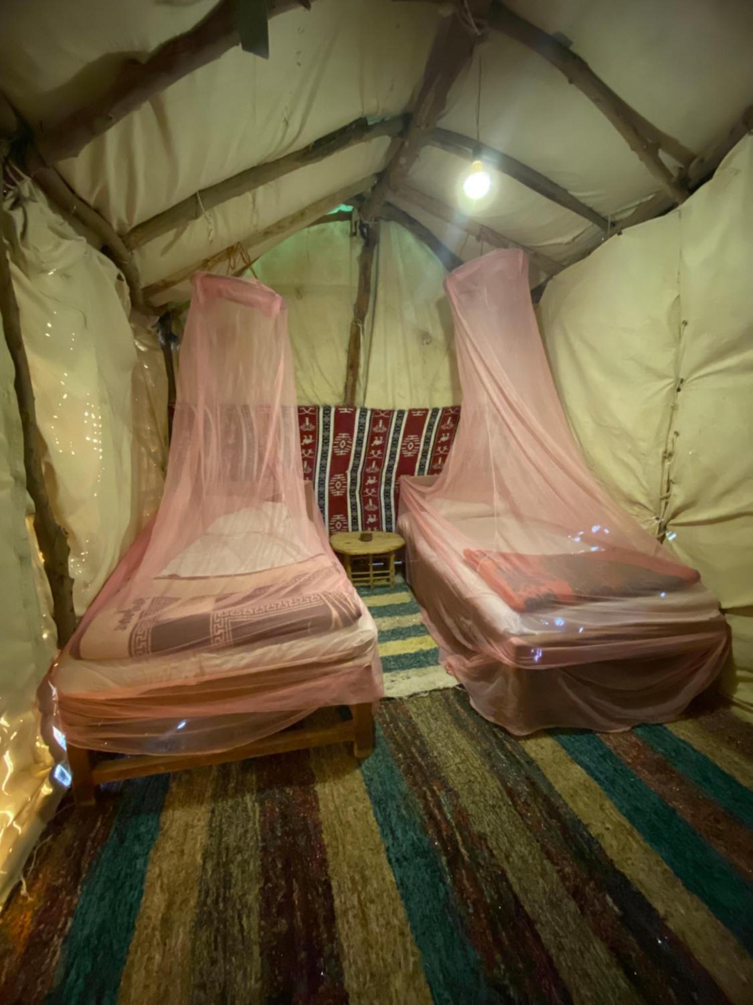 Forest Camp Siwa - كامب الغابة Siwa Oasis Exterior foto